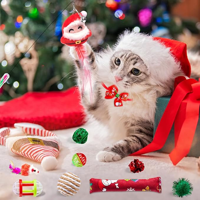 Cat Advent Calendar 2025 – 24-Day Christmas Countdown for Kittens & Cats